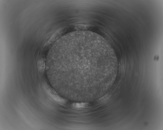 X0000112930134200910051140
