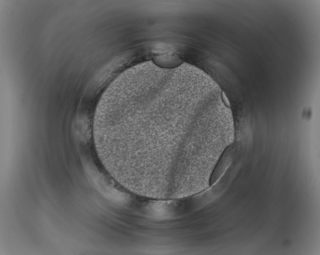 X0000112930136200910051140