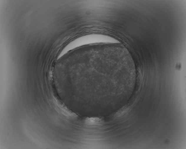 X0000112930137200910051140
