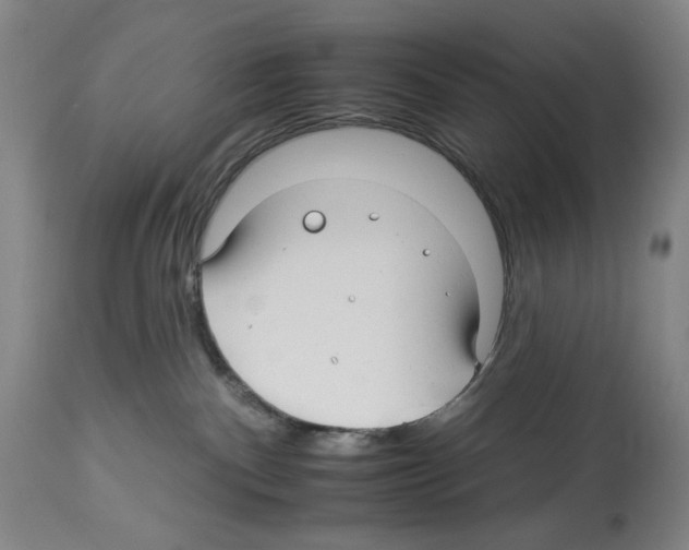 X0000112930140200910051140