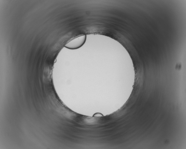 X0000112930142200910051140