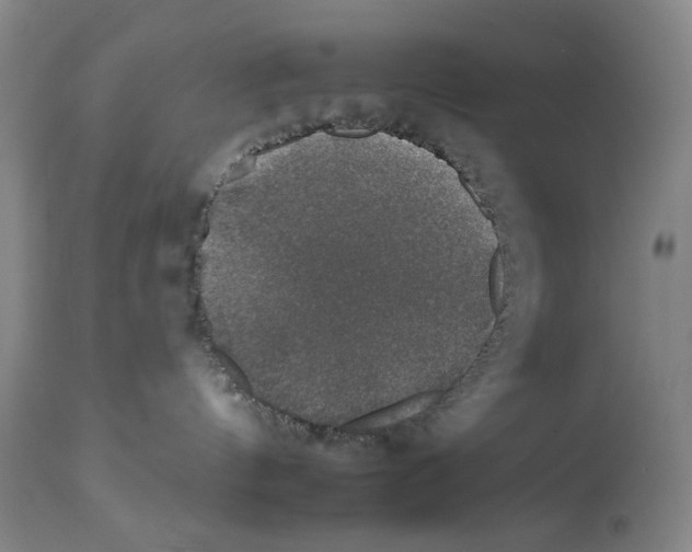 X0000112930144200910051140