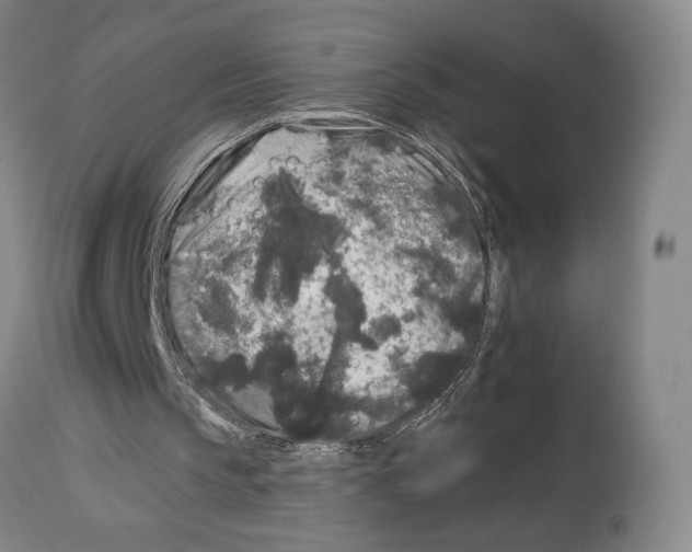 X0000112930145200910051139