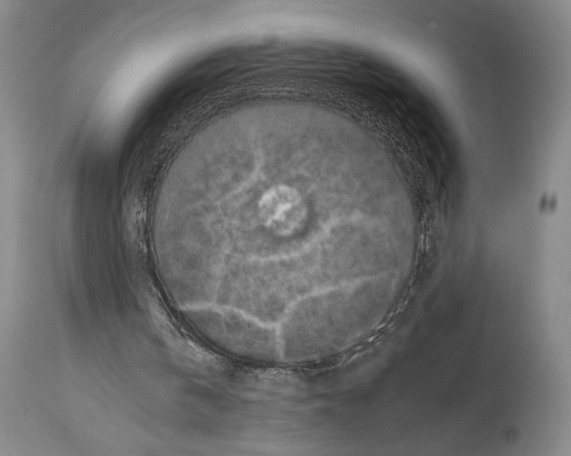 X0000112930146200910051140
