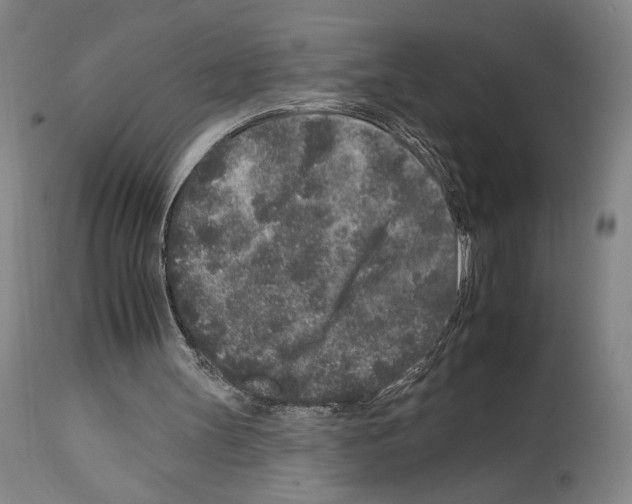 X0000112930147200910051140