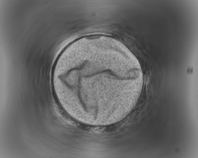 X0000112930148200910051140