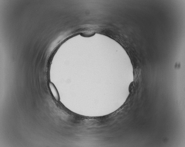 X0000112930150200910051140