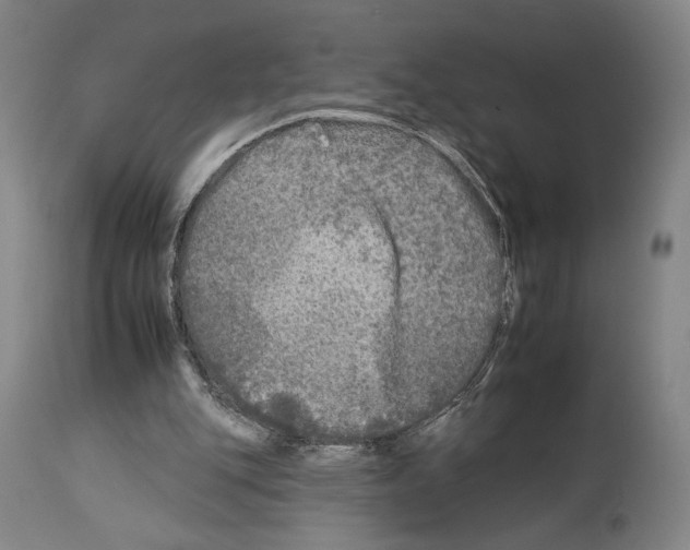 X0000112930151200910051140