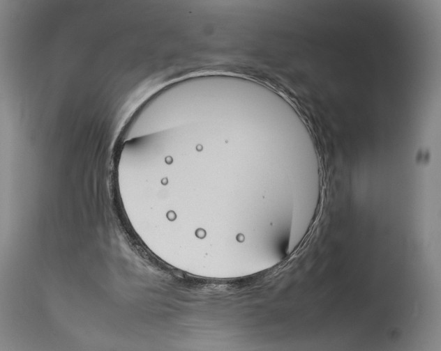 X0000112930152200910051140
