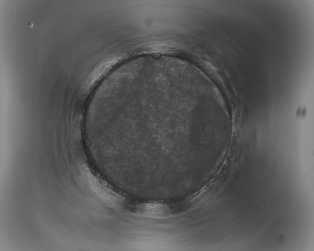 X0000112930154200910051140