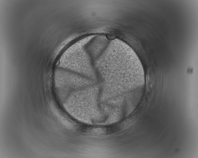X0000112930156200910051140