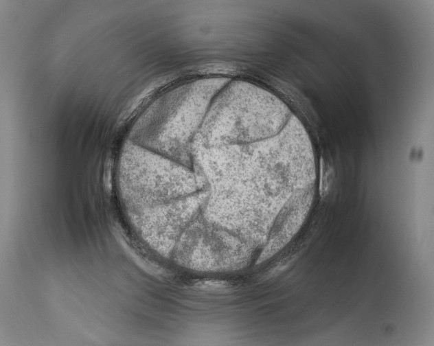 X0000112930157200910051140