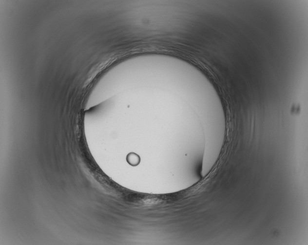 X0000112930158200910051140