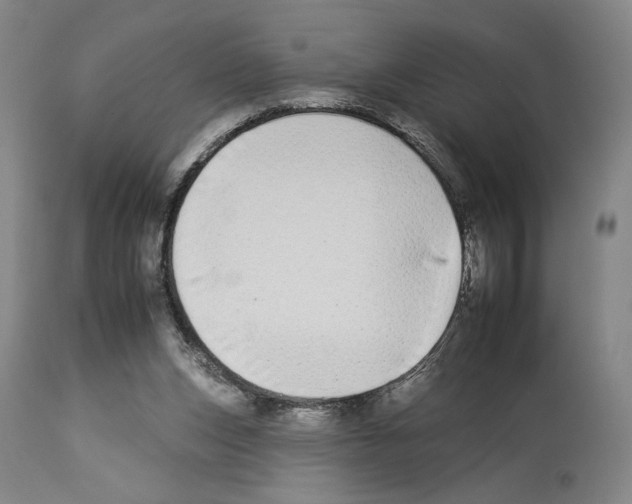 X0000112930159200910051140
