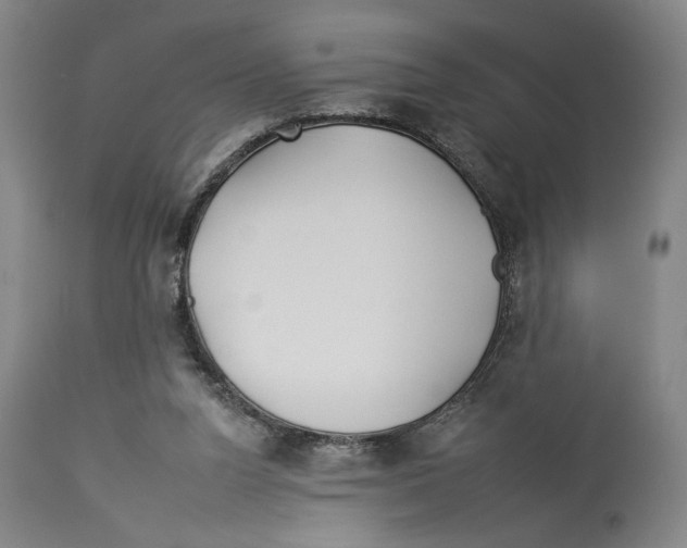 X0000112930160200910051140