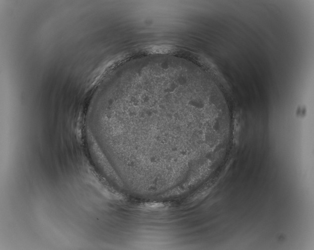 X0000112930161200910051140