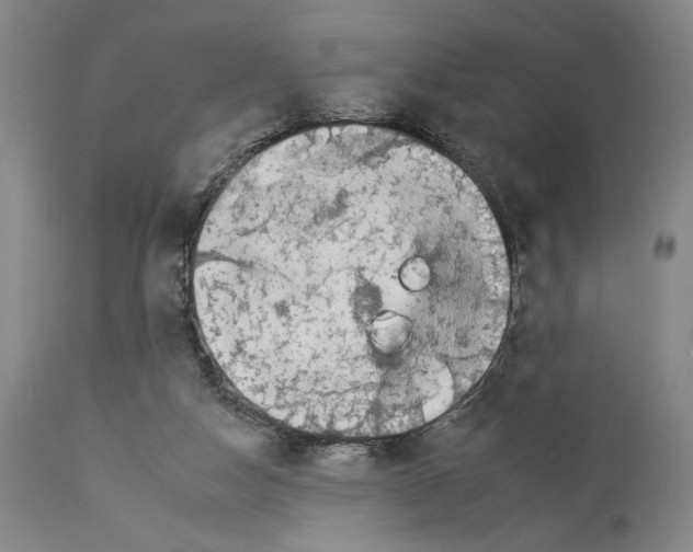 X0000112930162200910051140