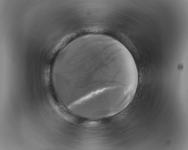 X0000112930163200910051140