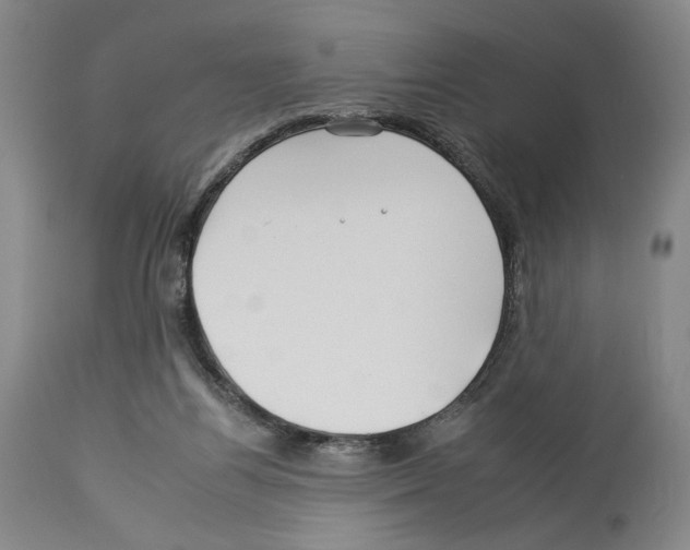 X0000112930164200910051140
