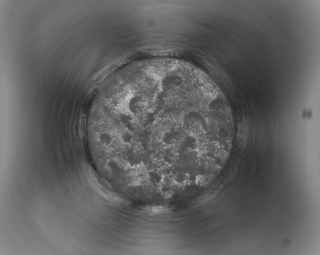 X0000112930165200910051140
