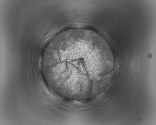 X0000112930166200910051140