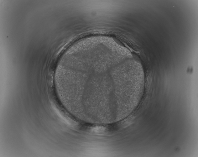 X0000112930168200910051140