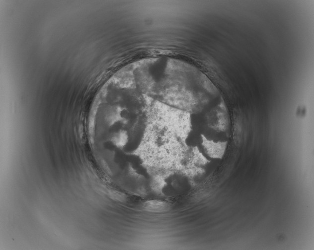 X0000112930169200910051140