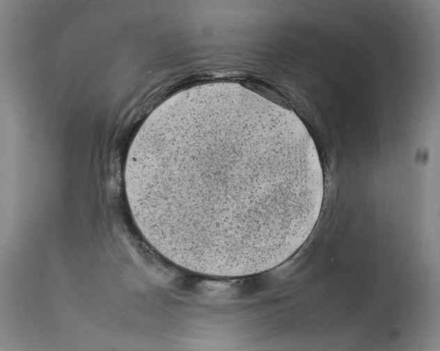 X0000112930170200910051140