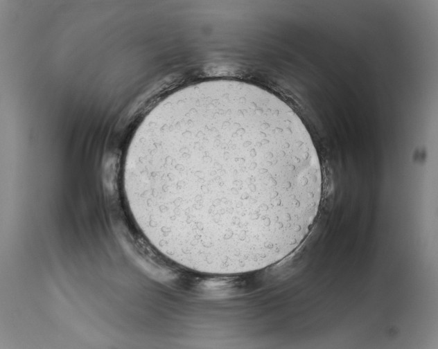 X0000112930171200910051140
