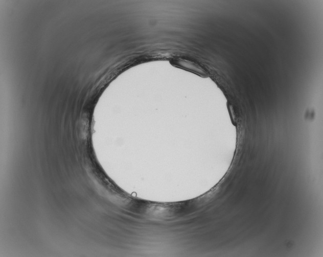 X0000112930174200910051140