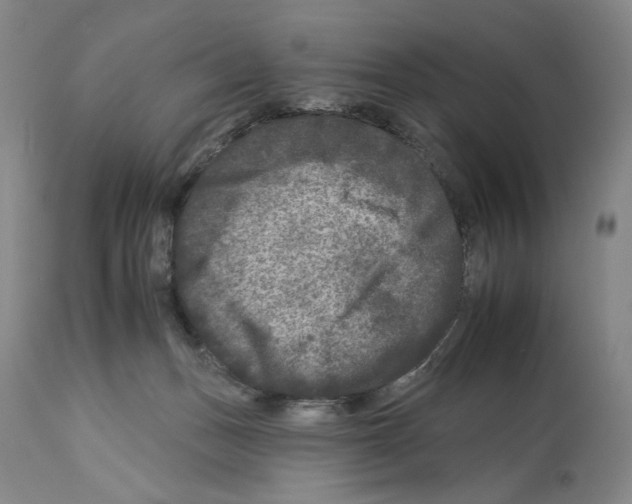 X0000112930175200910051140