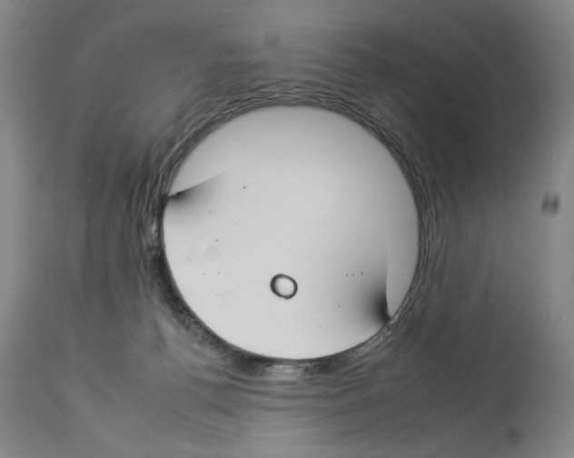 X0000112930176200910051140