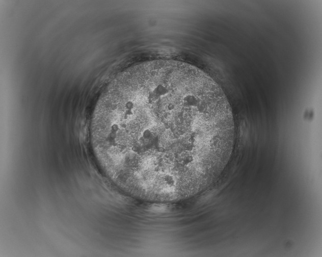 X0000112930177200910051140