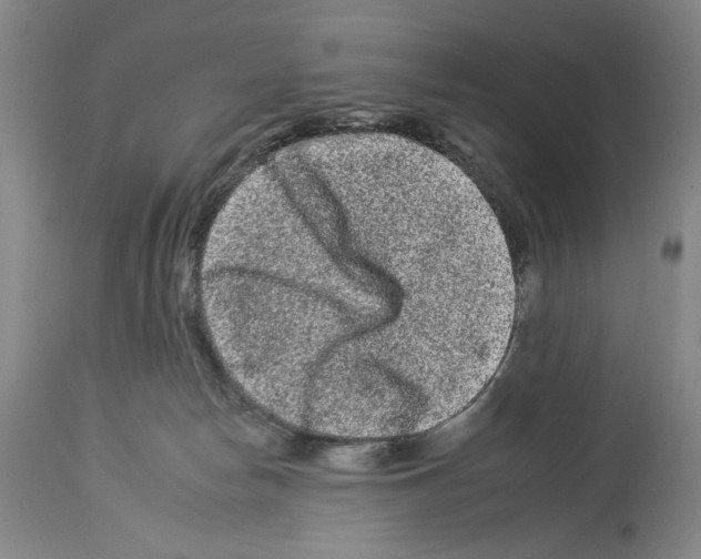 X0000112930178200910051140