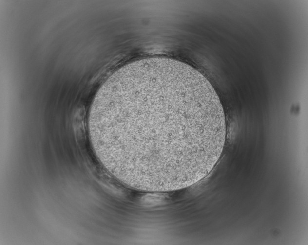 X0000112930179200910051140