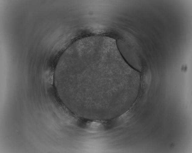 X0000112930180200910051140