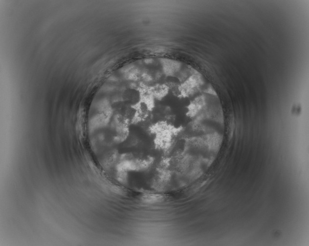 X0000112930181200910051140