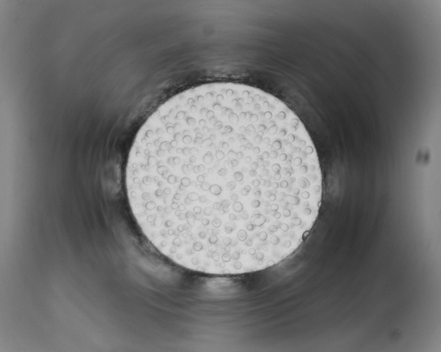 X0000112930183200910051140