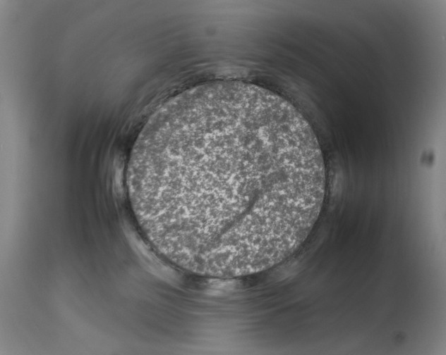 X0000112930185200910051140