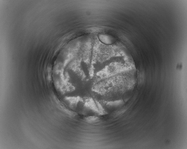 X0000112930189200910051140