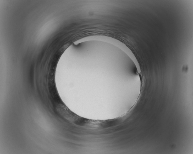 X0000112930190200910051140