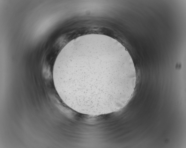 X0000112930191200910051140