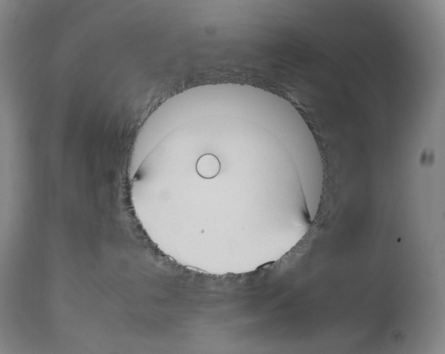 X0000112930192200910051140