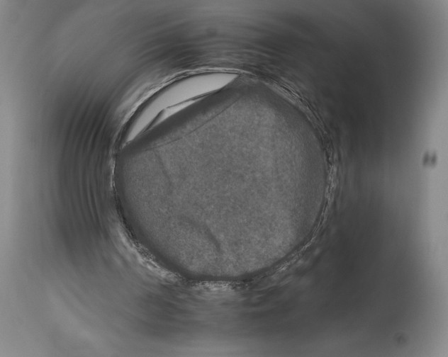 X0000112930194200910051139