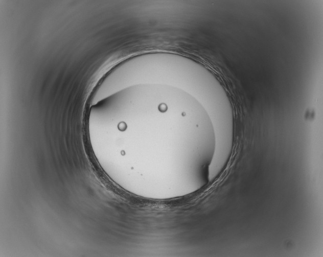 X0000112930195200910051139