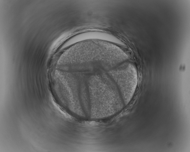 X0000112930197200910051139