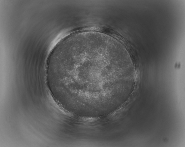 X0000112930198200910051139