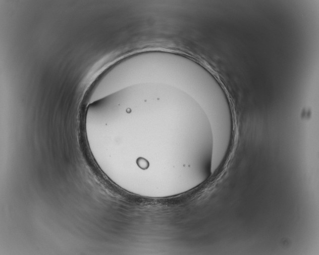 X0000112930199200910051139