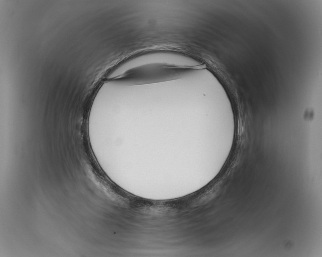 X0000112930201200910051139