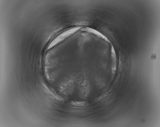 X0000112930202200910051139